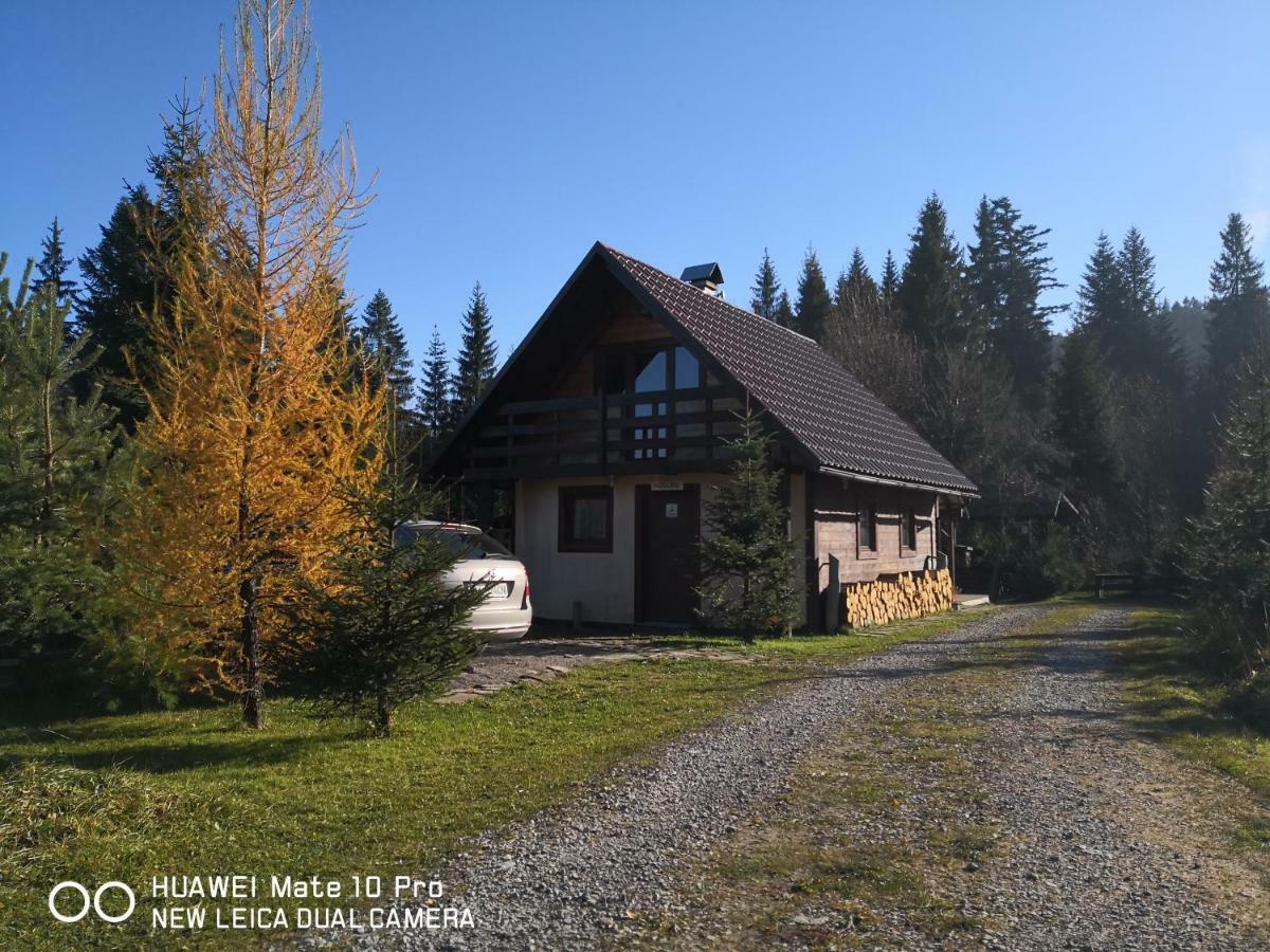 Lodge Pod Pilskom *